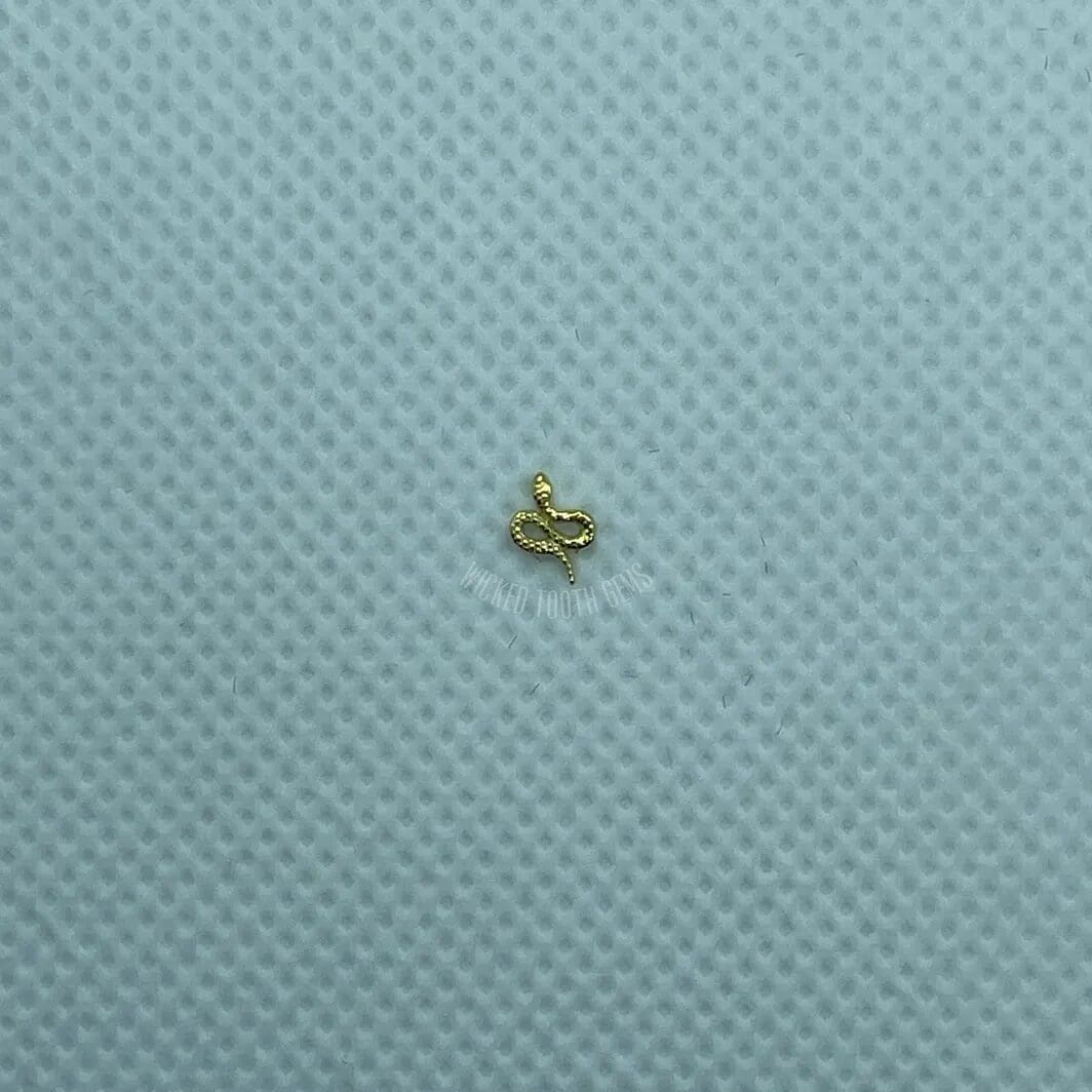 Gucci Snake image 0