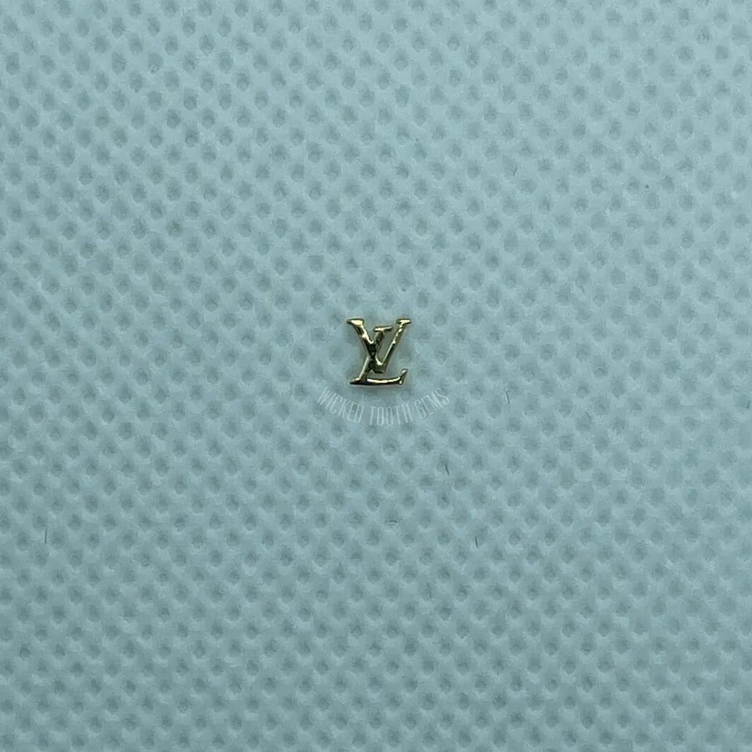 LV Logo image 0