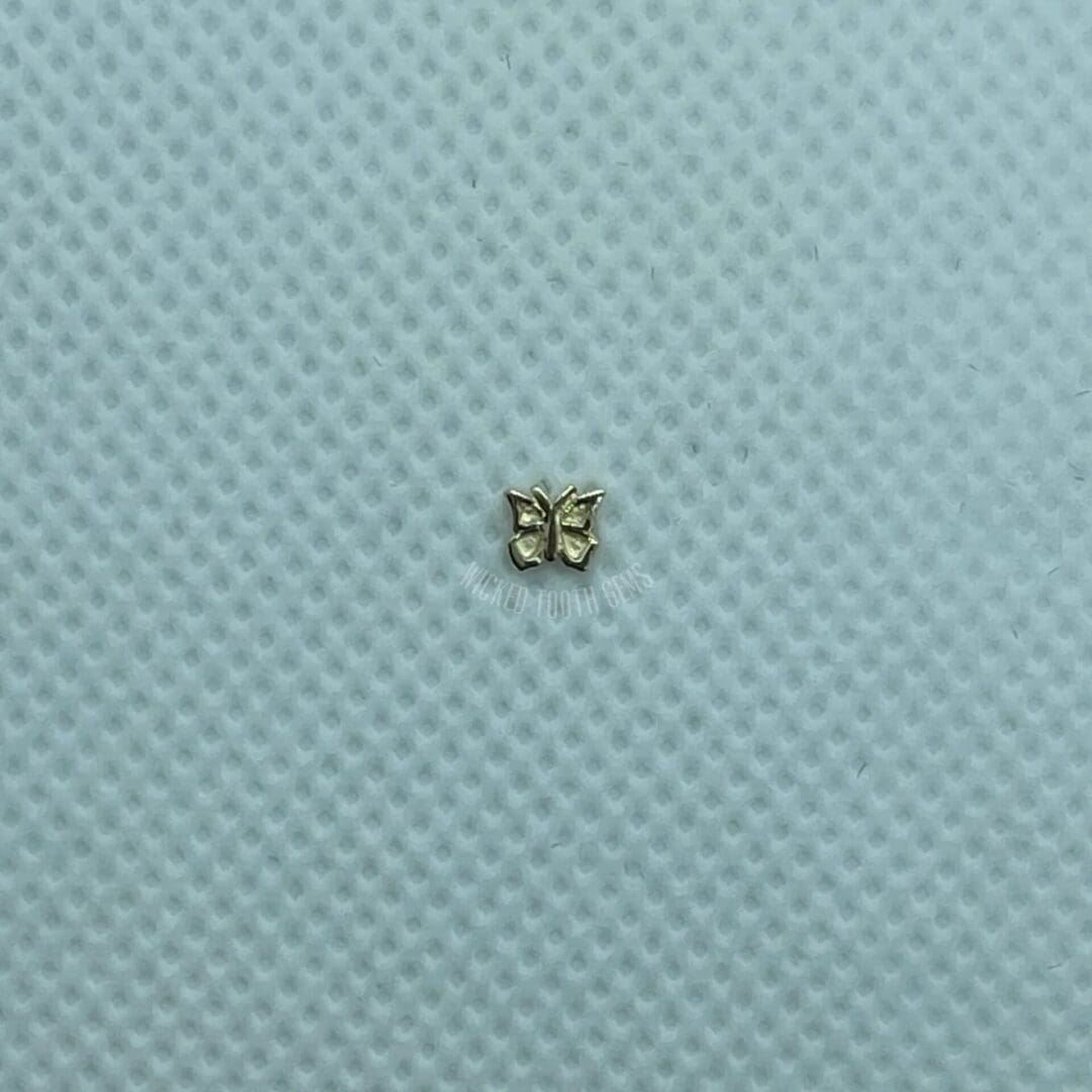 Butterfly image 0