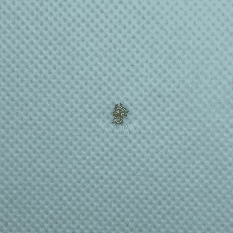 Scorpion image 0