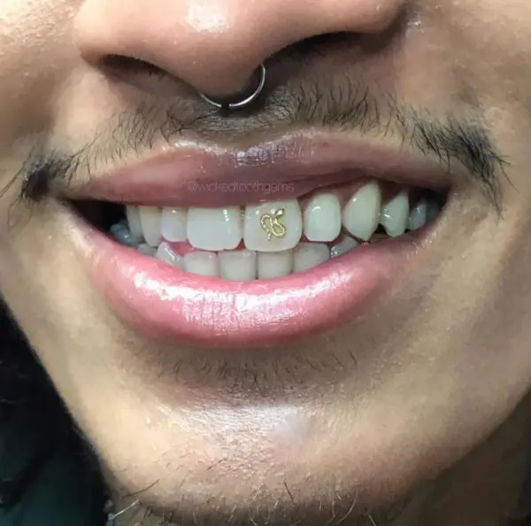 A man with a piercing on his upper lip.