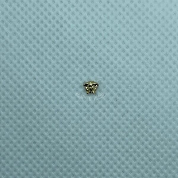 A small bee sitting on top of a blue surface.