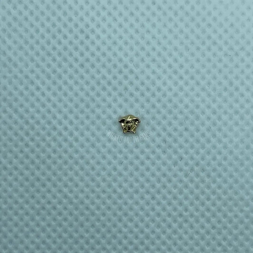 A small bee sitting on top of a blue surface.