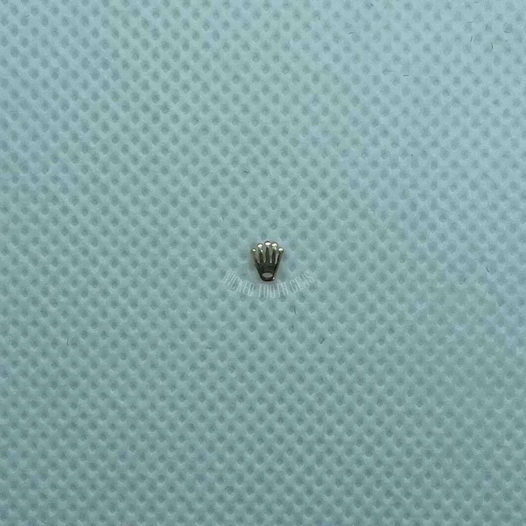 A tiny insect sitting on top of a blue surface.