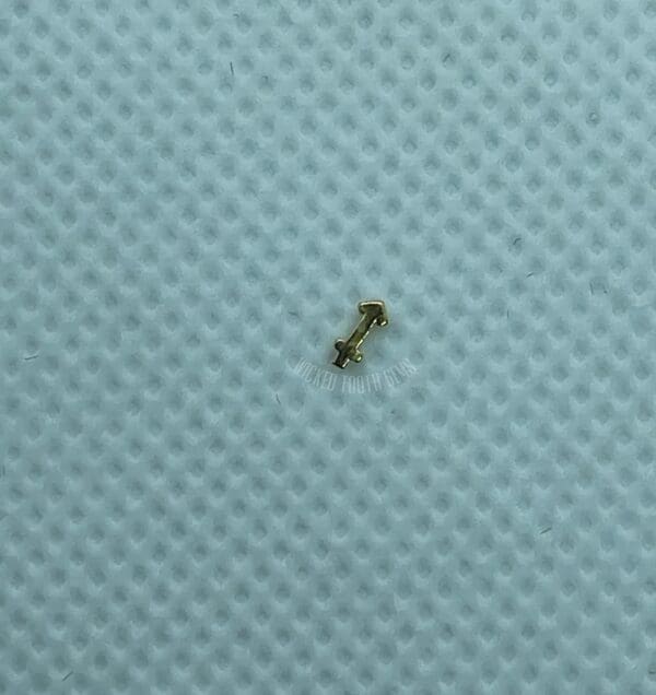 A tiny insect sitting on top of a blue surface.