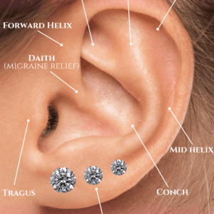 A diagram of the ear with different parts labeled.