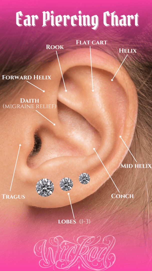A diagram of the ear with different parts labeled.