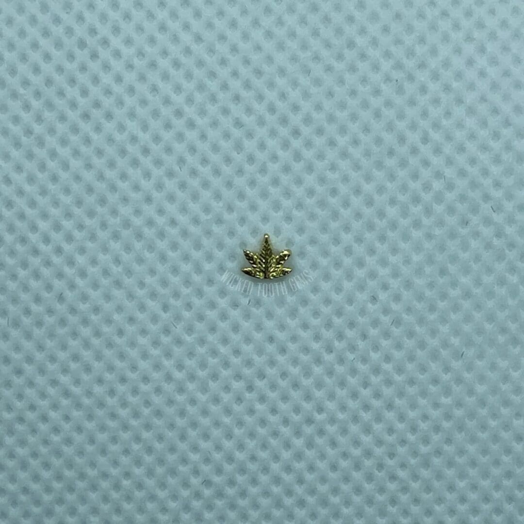 A small leaf is sitting on the surface of a blue cloth.