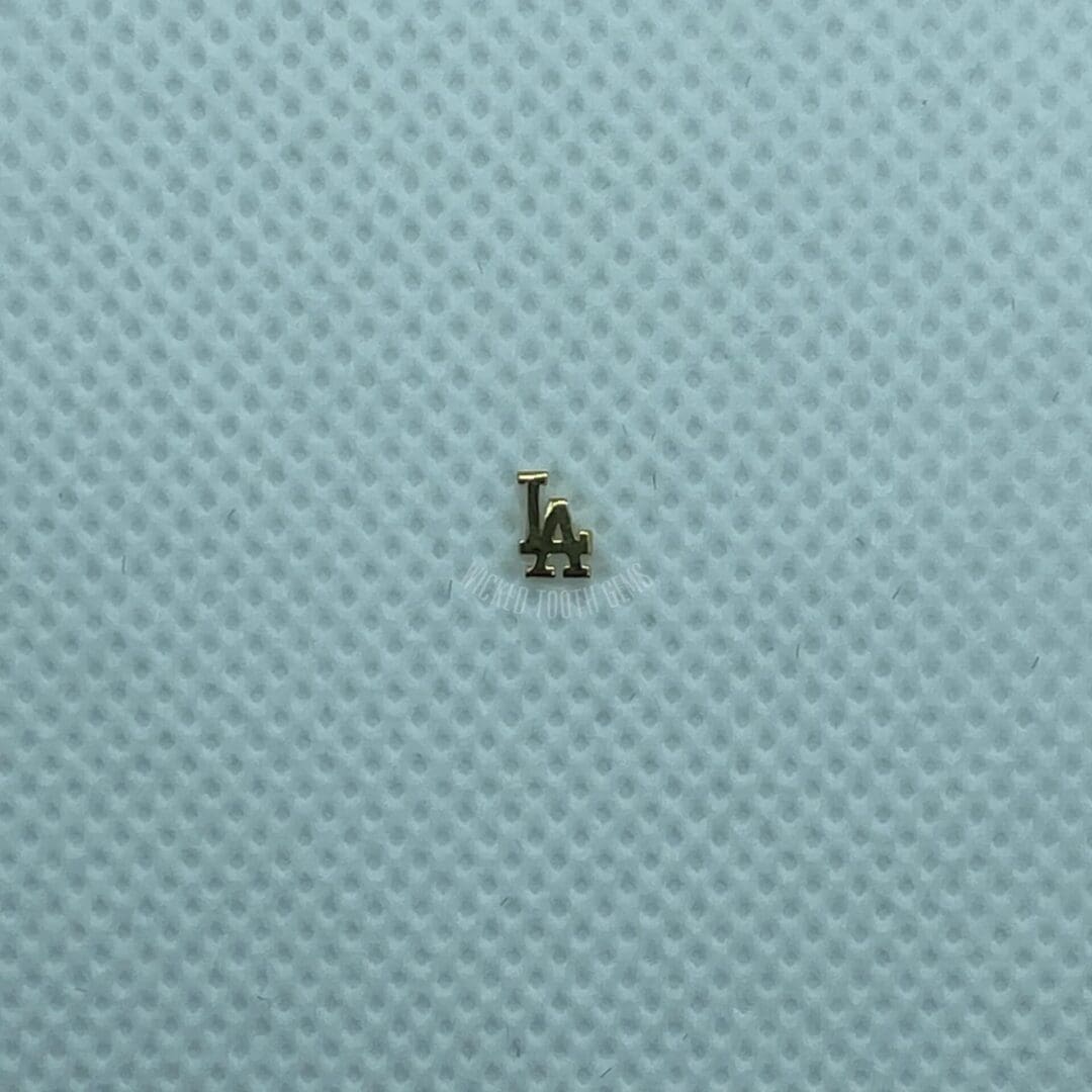 A small brown bug sitting on top of a blue surface.