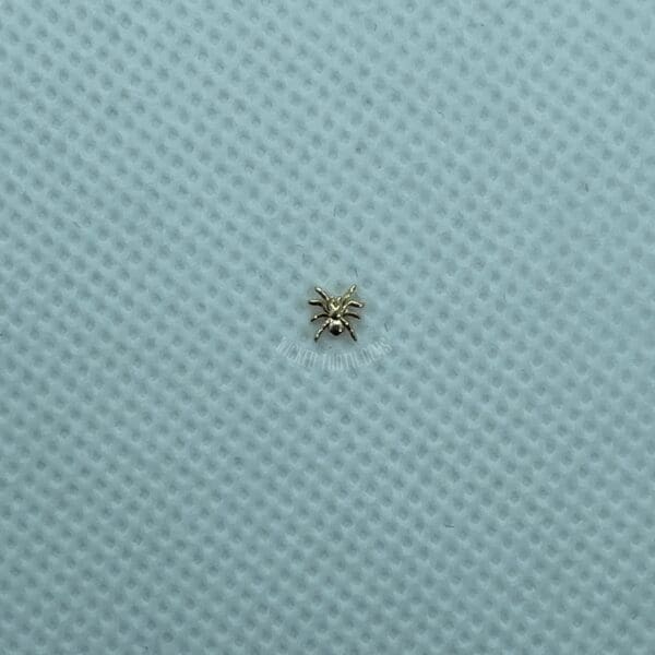 A small spider sitting on top of a blue surface.