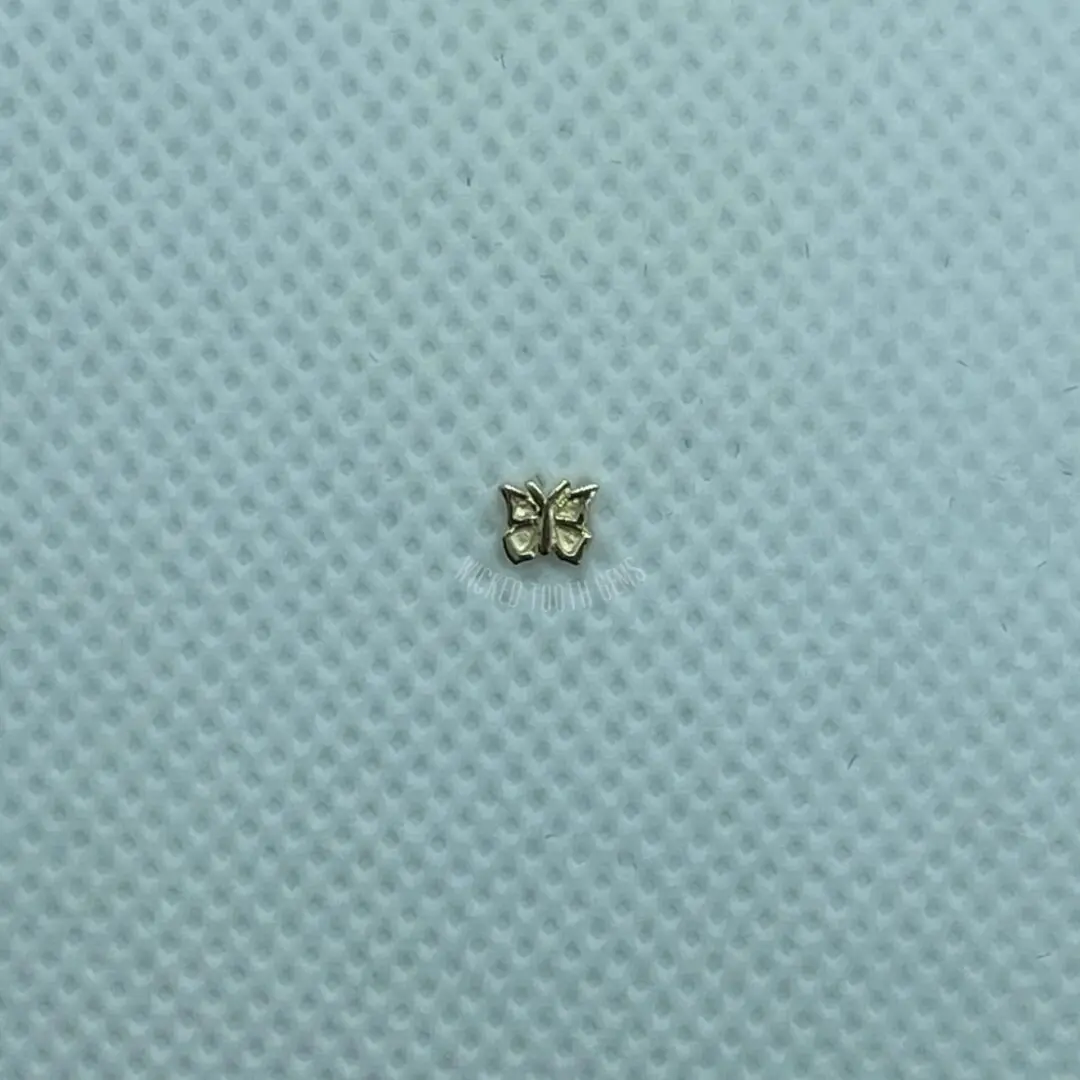 A small butterfly is sitting on top of the blue cloth.