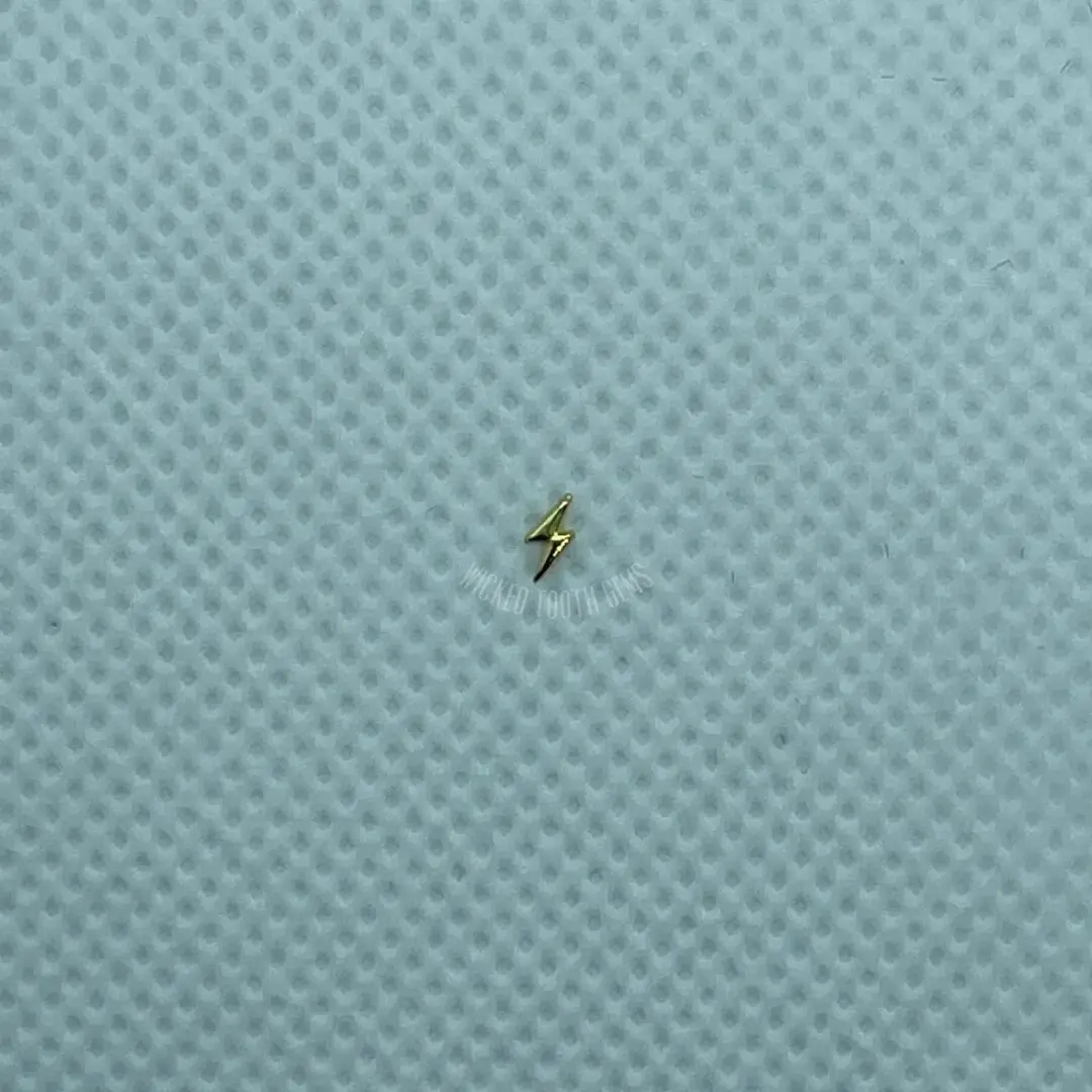 A tiny insect sitting on top of a blue surface.