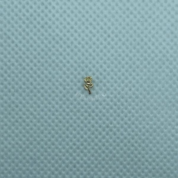 A tiny insect sitting on top of a blue surface.