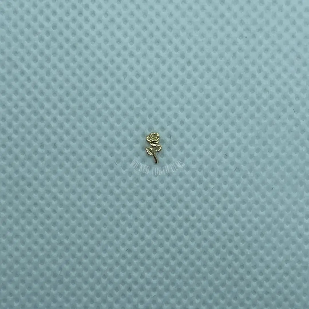 A tiny insect sitting on top of a blue surface.