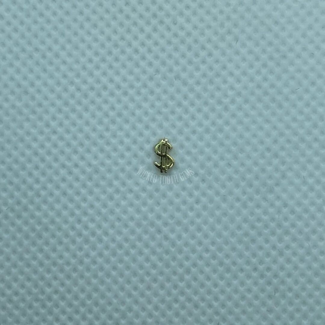 A tiny insect sitting on top of a blue surface.