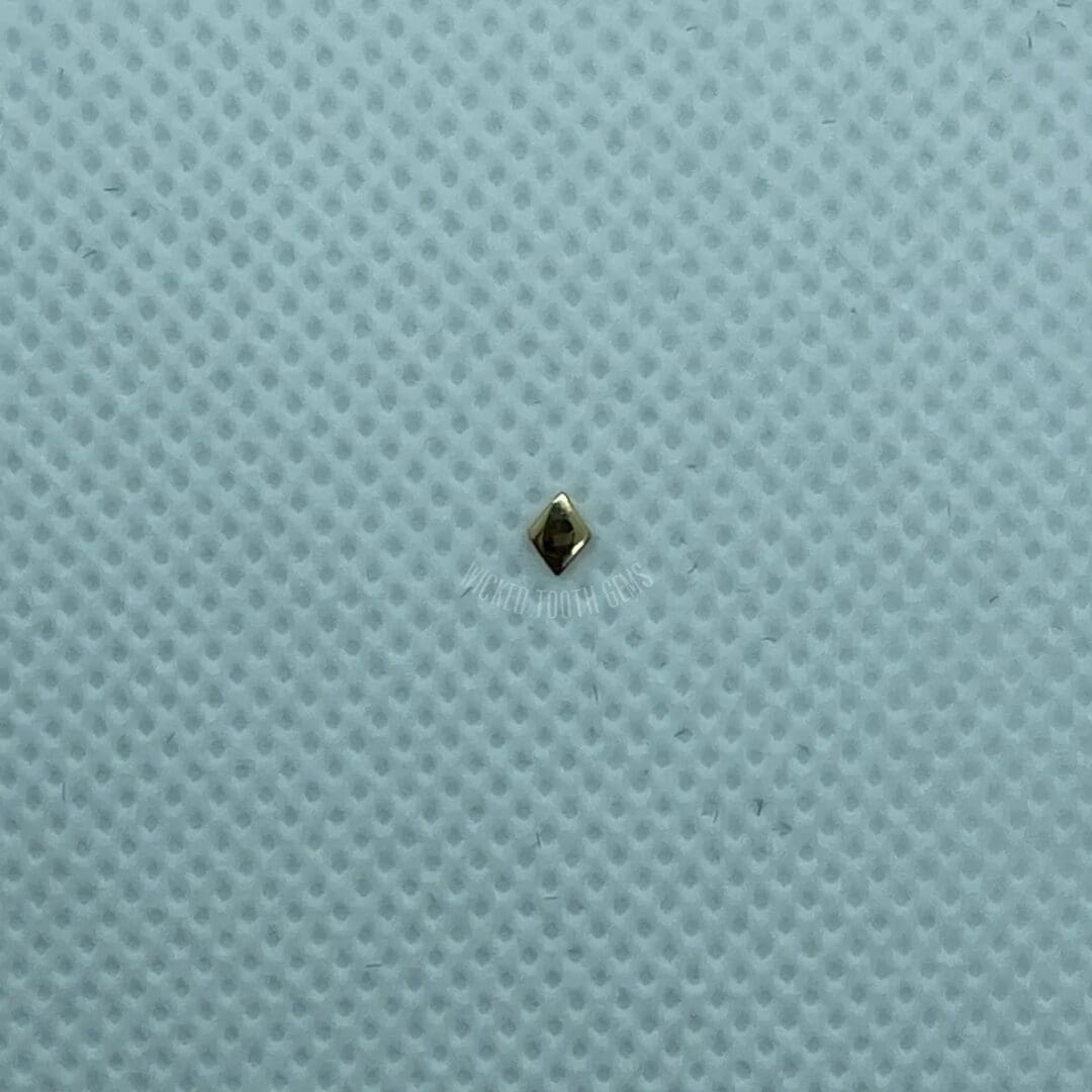 A brown bug sitting on top of a blue surface.