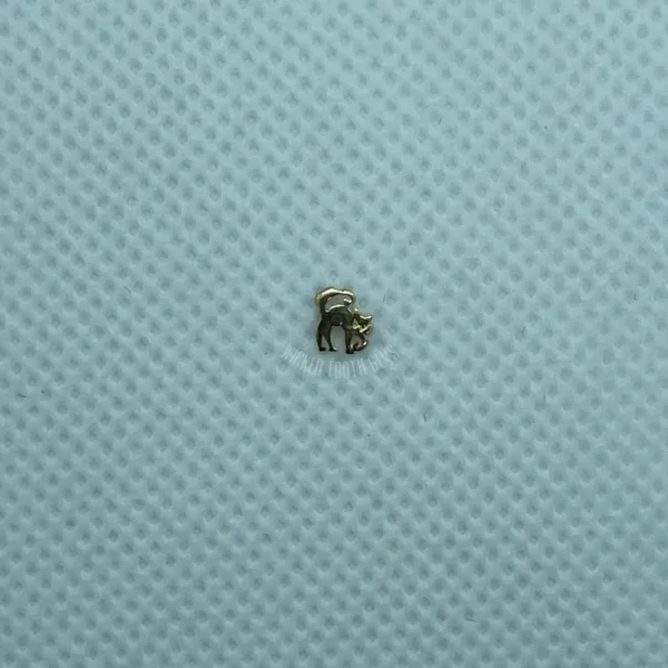 A close up of a tiny bug on a blue cloth