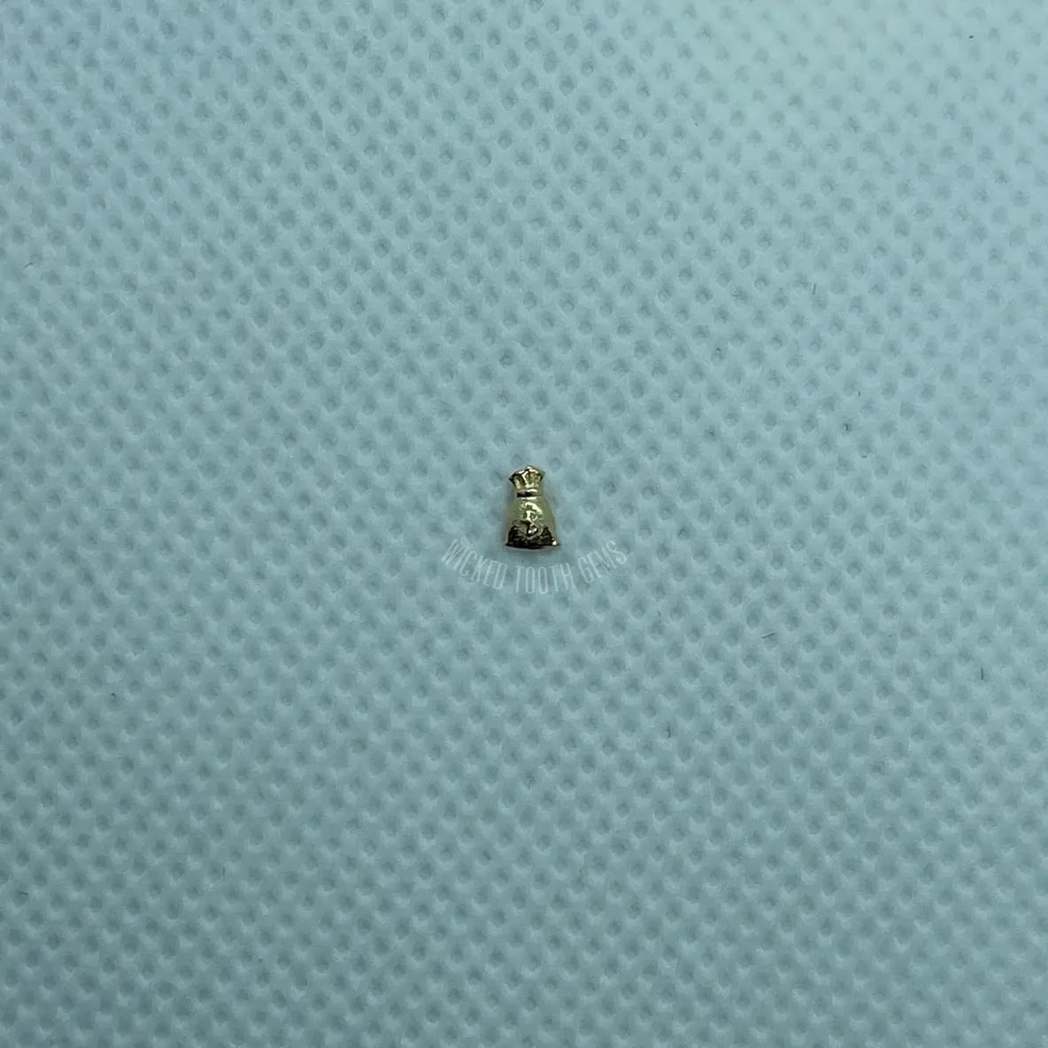 A tiny bug sitting on top of a blue surface.